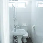 Flisvos *